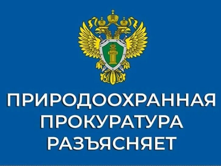 Саратовскаямежрайонная природоохранная прокуратура разъясняет изменения, внесенные законодательство об охране окружающей среды.